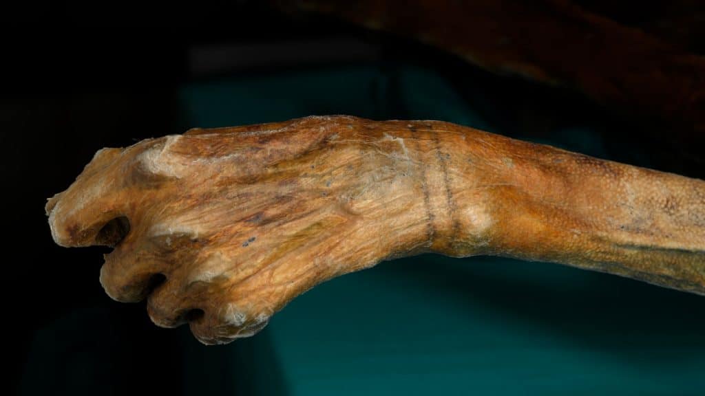 Ancient Tattoo