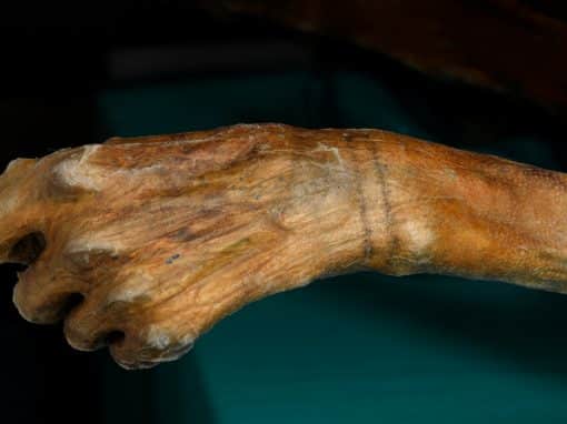 Marked Since the Beginning: A Journey Through the World’s Oldest Tattoo History